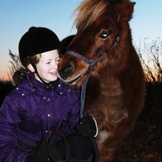 Shetlænder Team Memories Markus <3