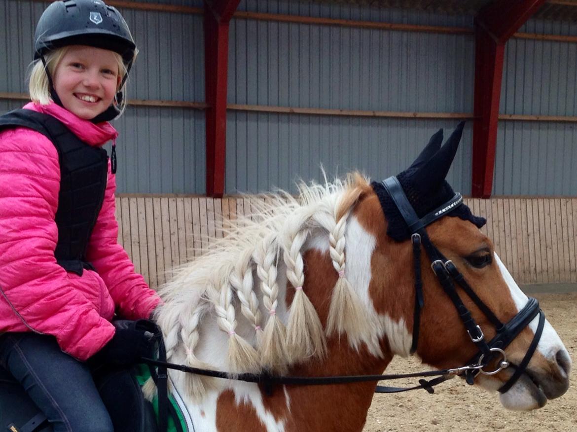 Anden særlig race Mille billede 3