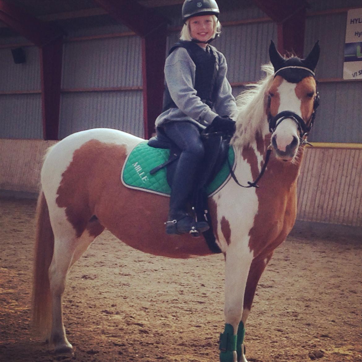 Anden særlig race Mille billede 6