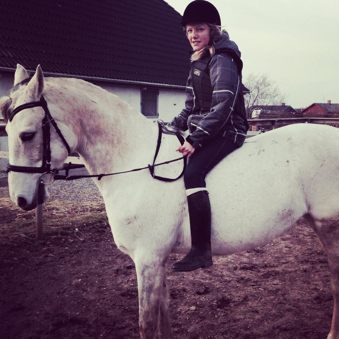 DSP Nørlunds Sunbeam billede 2