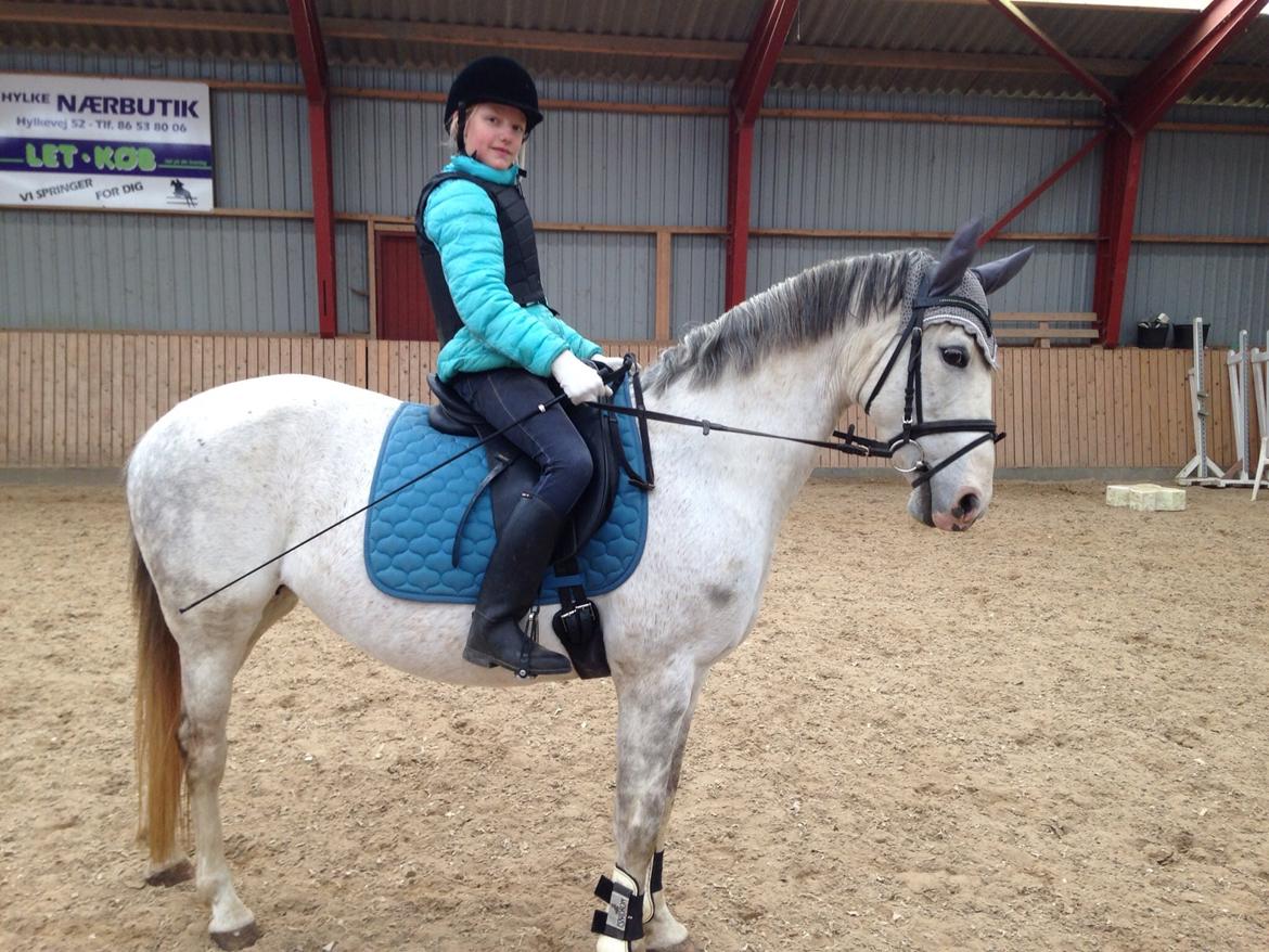 DSP Nørlunds Sunbeam billede 6