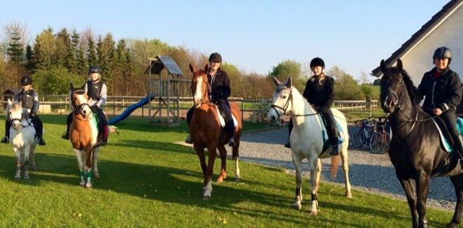 DSP Nørlunds Sunbeam billede 7