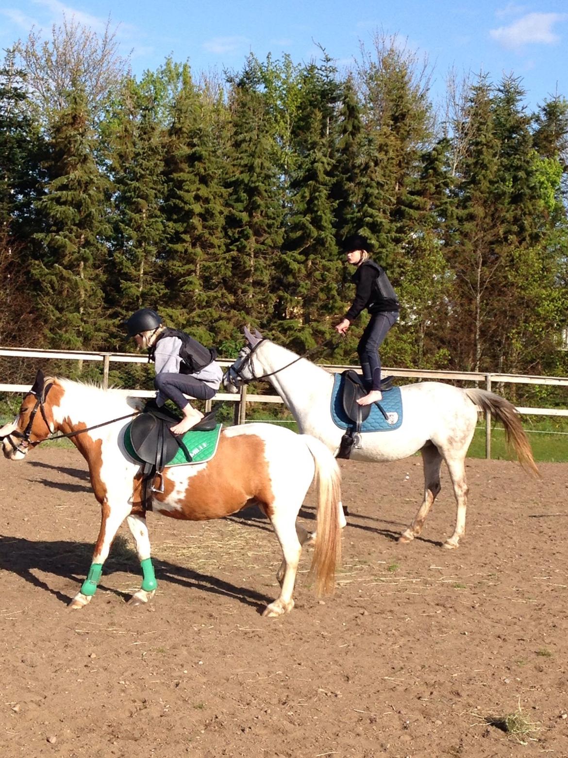 DSP Nørlunds Sunbeam billede 8