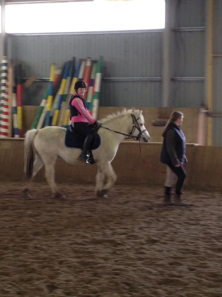 Fjordhest Bjørk Bindernæs (Følle) [Elevhest] - følle med rytter billede 9