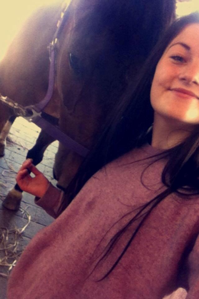 Dansk Varmblod STENKISTEKÆRS KITTE KRY *Kitte* billede 13