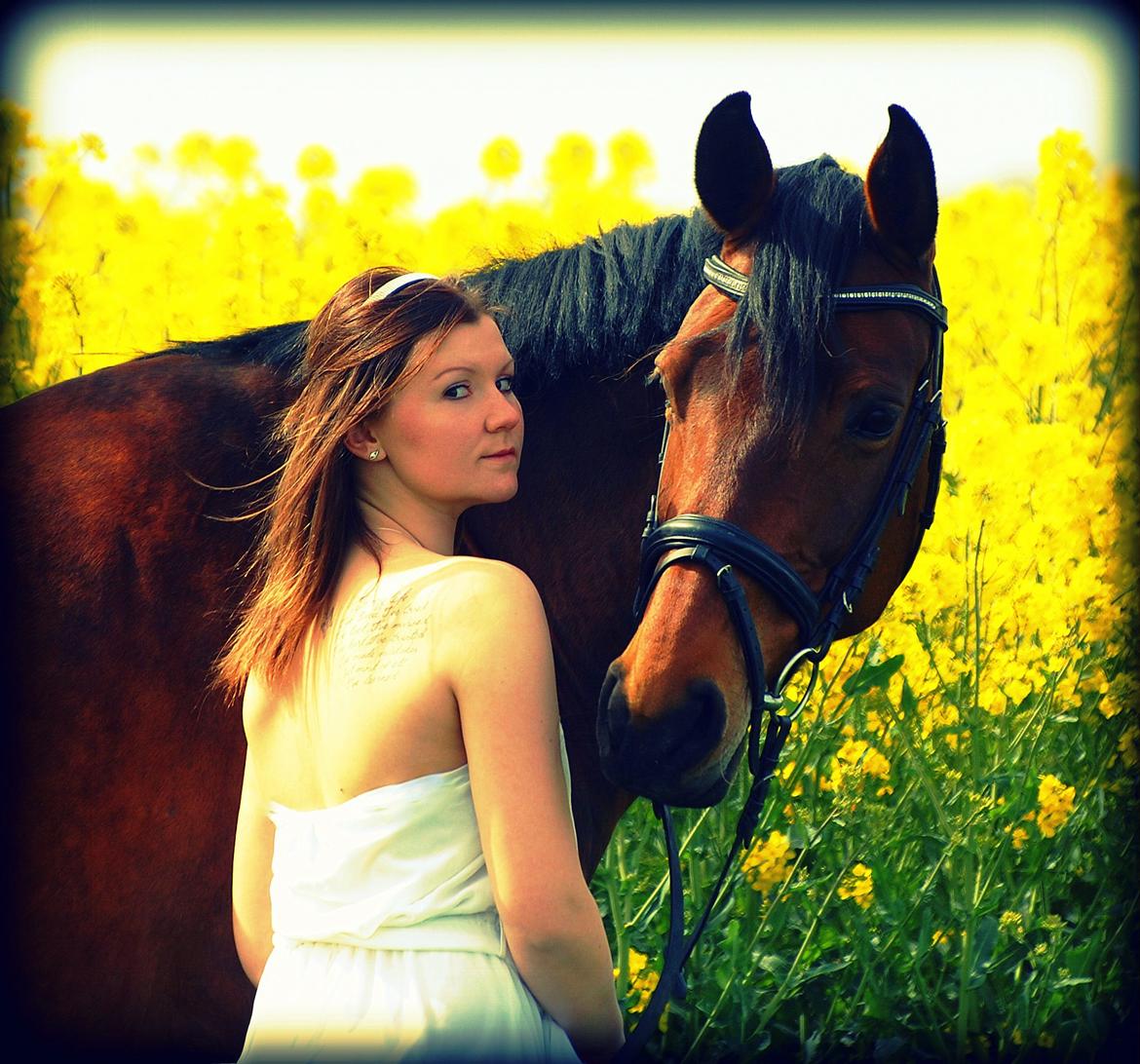 Dansk Varmblod Coffee Cup - Velkommen til Coffee Cup's profil :)  billede 1