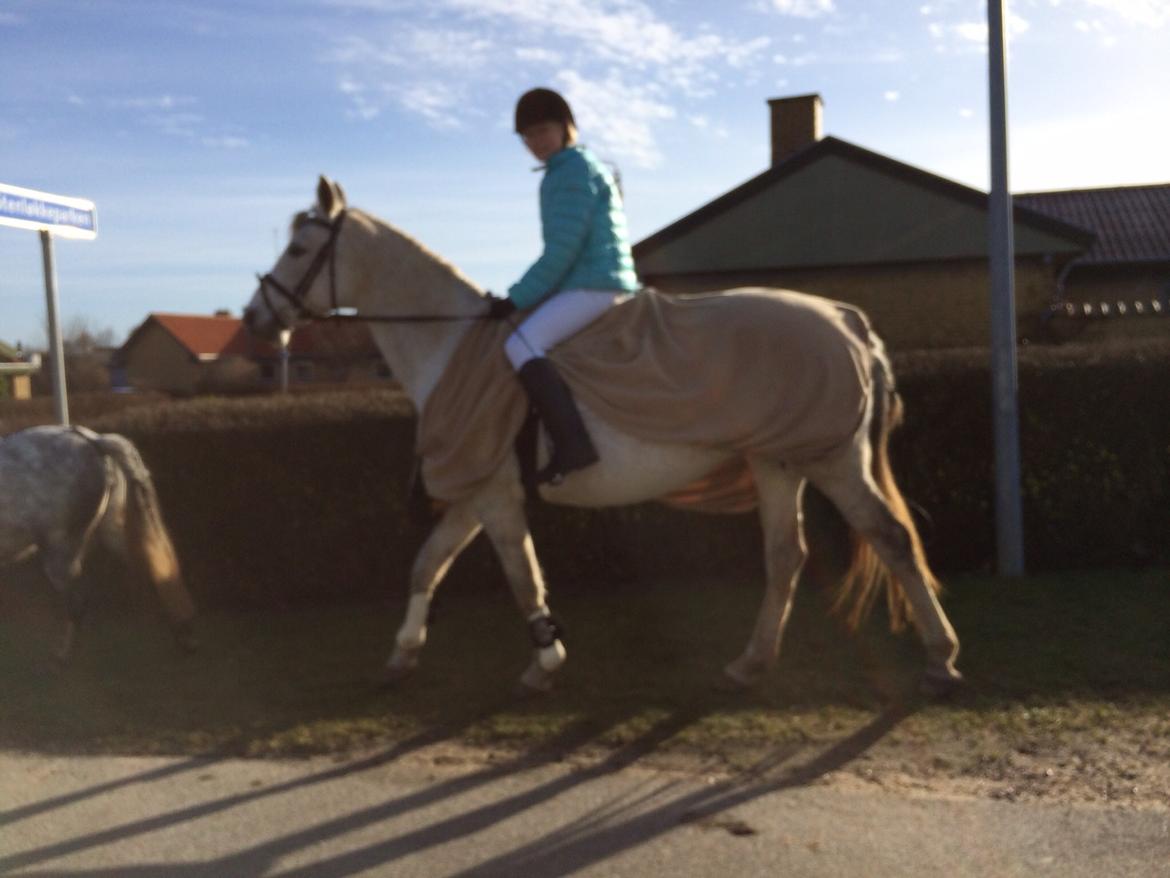 DSP Nørlunds Sunbeam billede 9