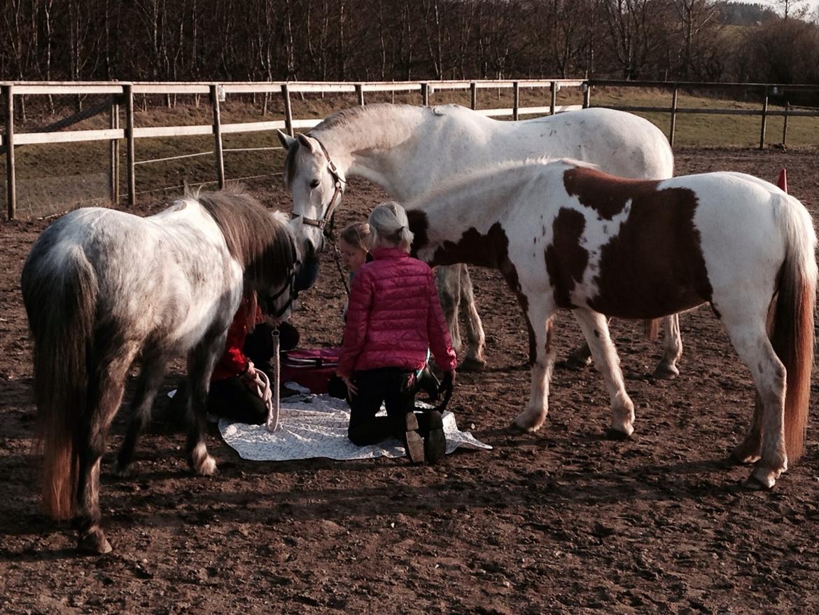 DSP Nørlunds Sunbeam billede 10