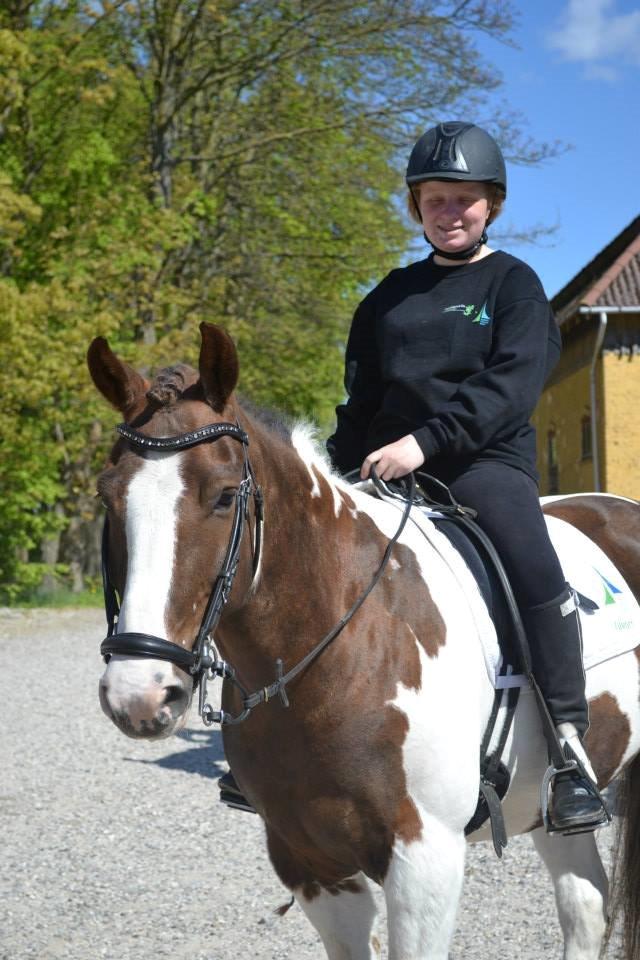 Pinto Handson/Flødebollen<3 billede 2