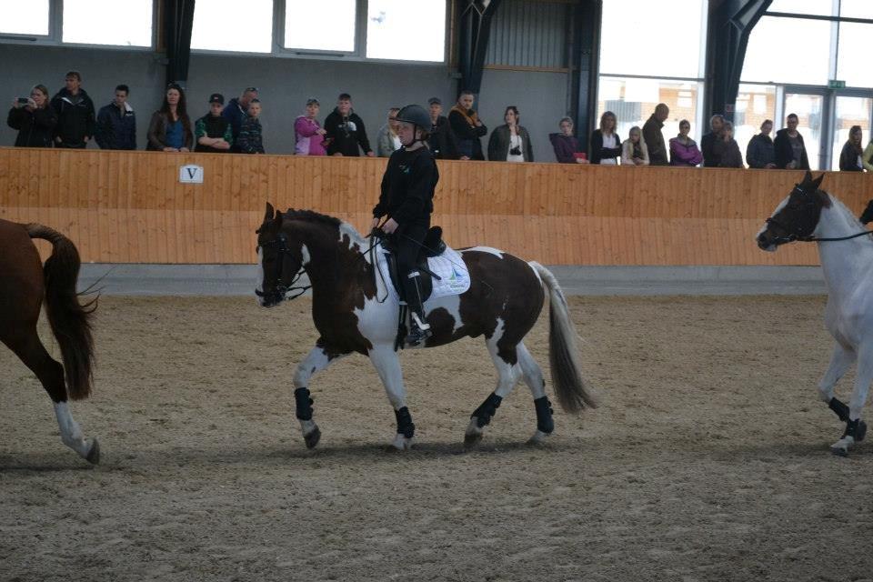 Pinto Handson/Flødebollen<3 billede 25