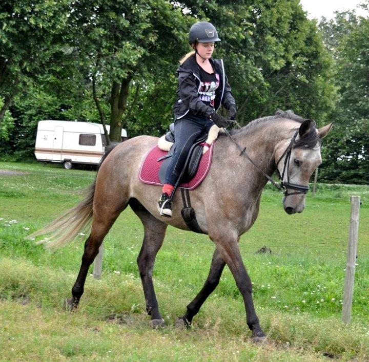 Anden særlig race Hegnsholts Felix - 21/7 2012 billede 19