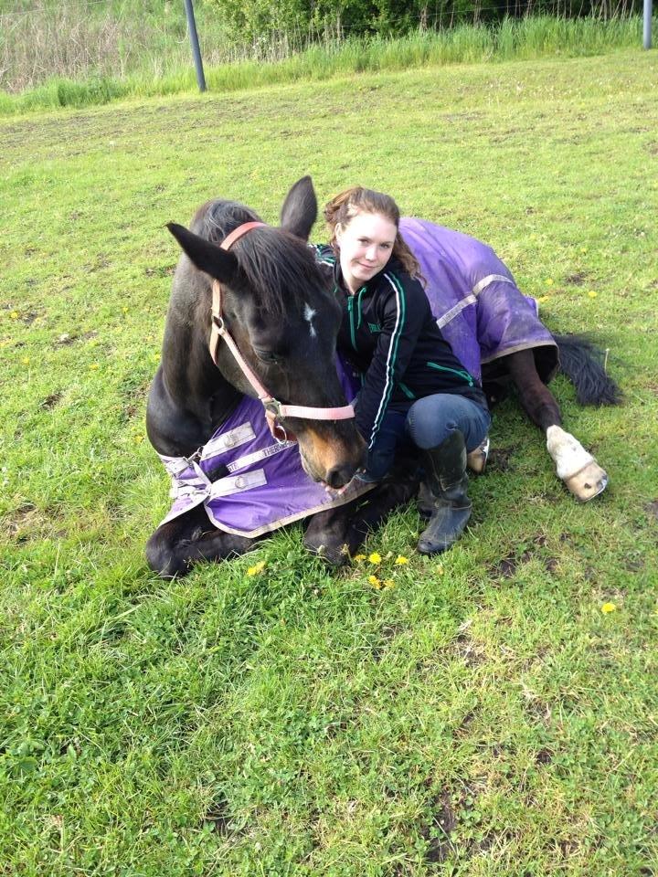 Anden særlig race Miss Shadow billede 20