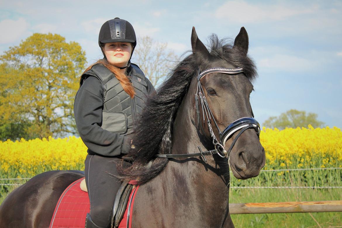 Frieser Karstina - Velkommen til Karstina's profil .. Maj 2014 billede 1