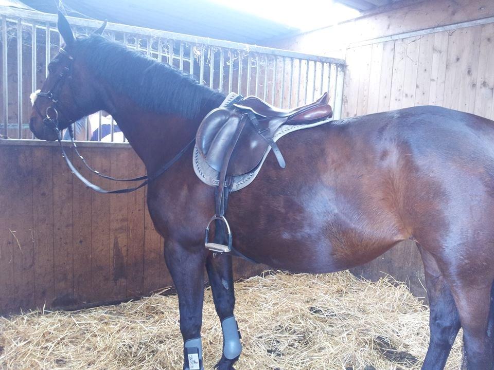 Oldenborg Ulrikke af hvarre billede 16