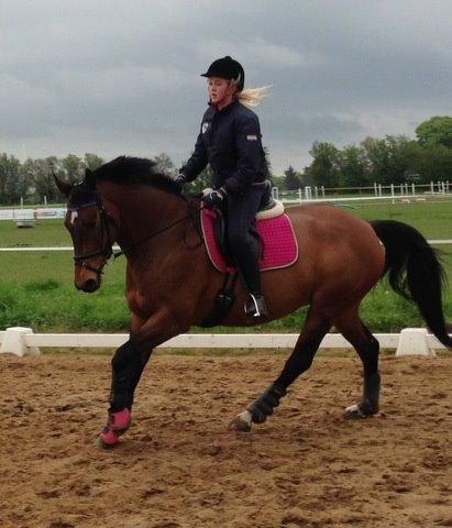 Dansk Varmblod Grankærs Come On ''PRINSESSEN''<3 billede 21