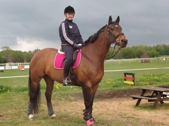 Dansk Varmblod Grankærs Come On ''PRINSESSEN''<3 billede 23