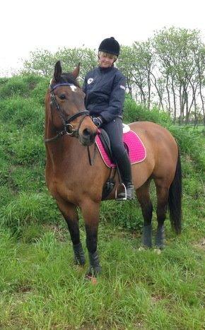 Dansk Varmblod Grankærs Come On ''PRINSESSEN''<3 billede 24