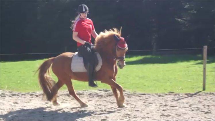 Anden særlig race Rosa - My little star! billede 42