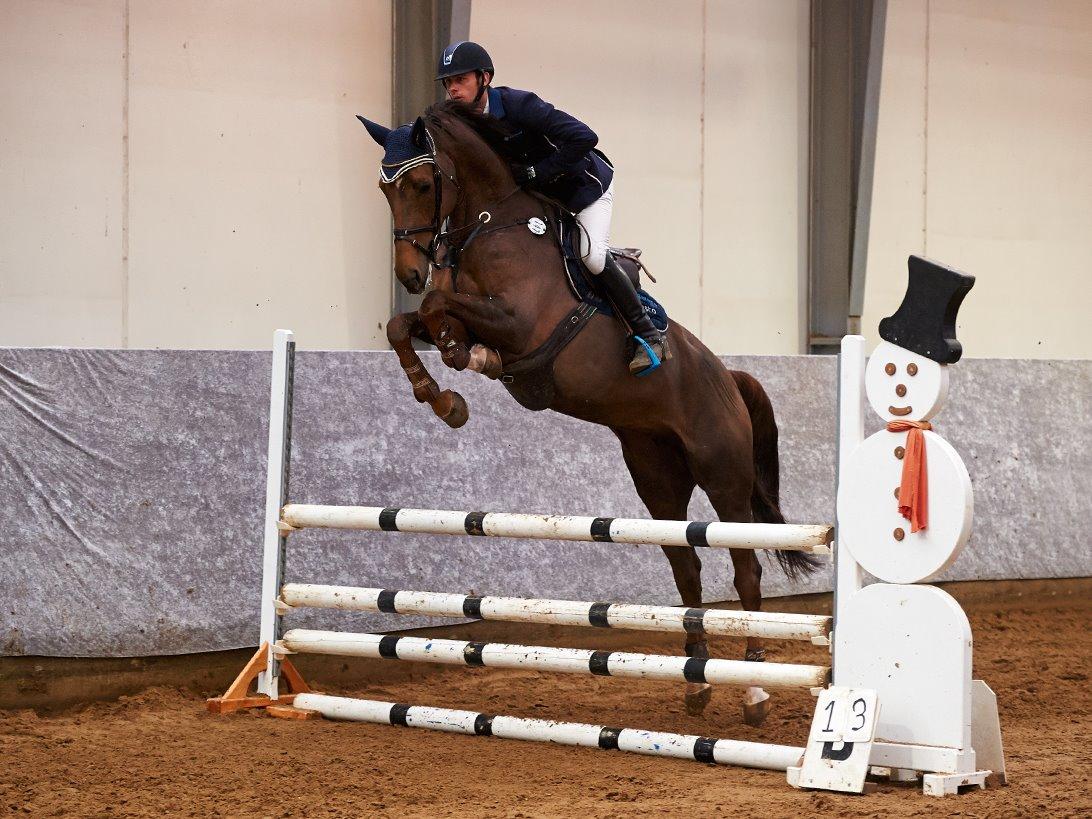 Dansk Varmblod Amillee ravnes-have billede 23