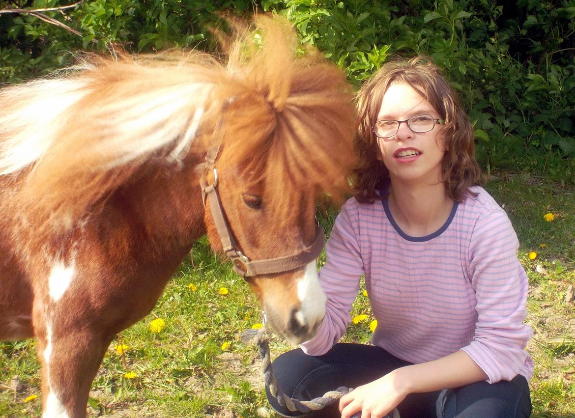 Anden særlig race Vladimir billede 5