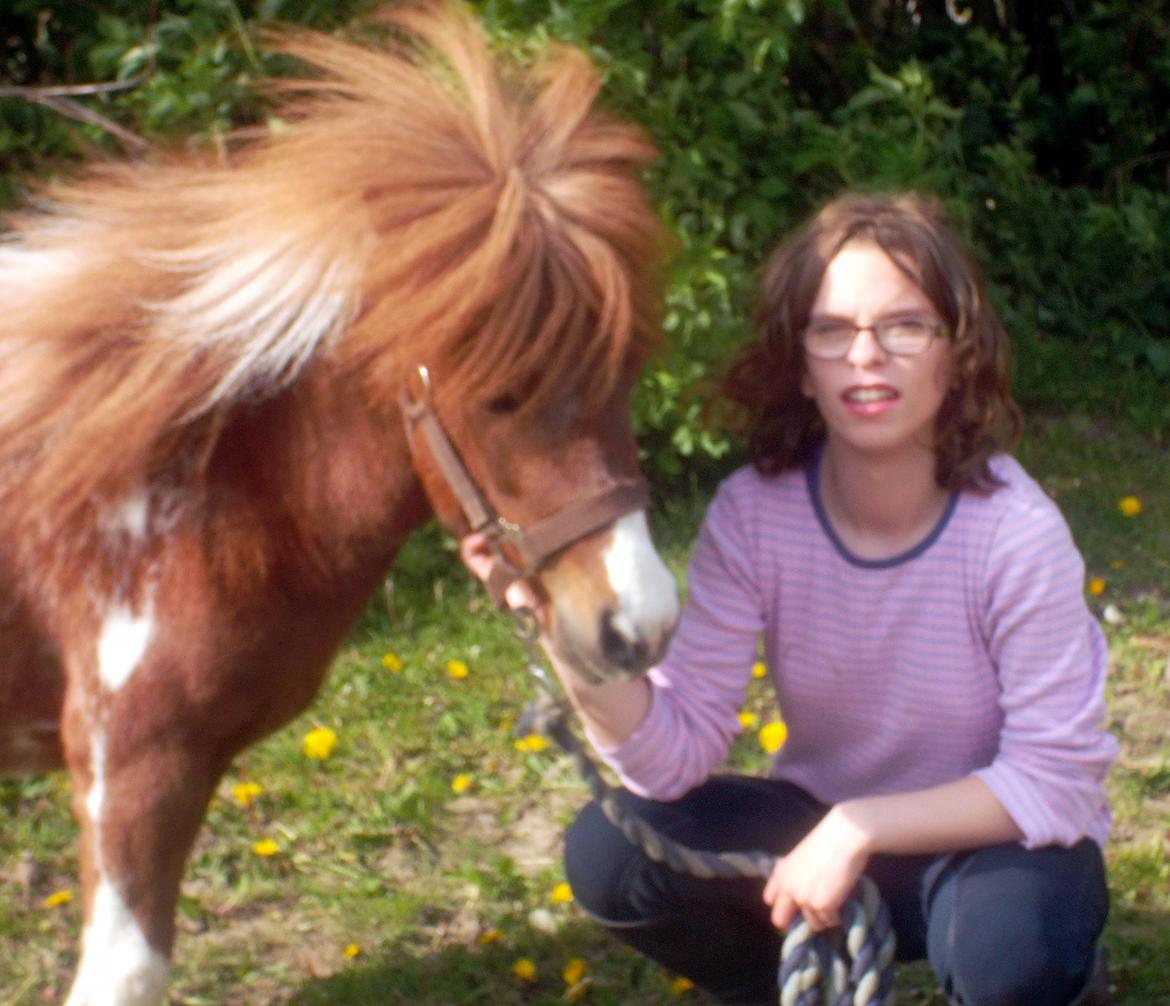 Anden særlig race Vladimir billede 9