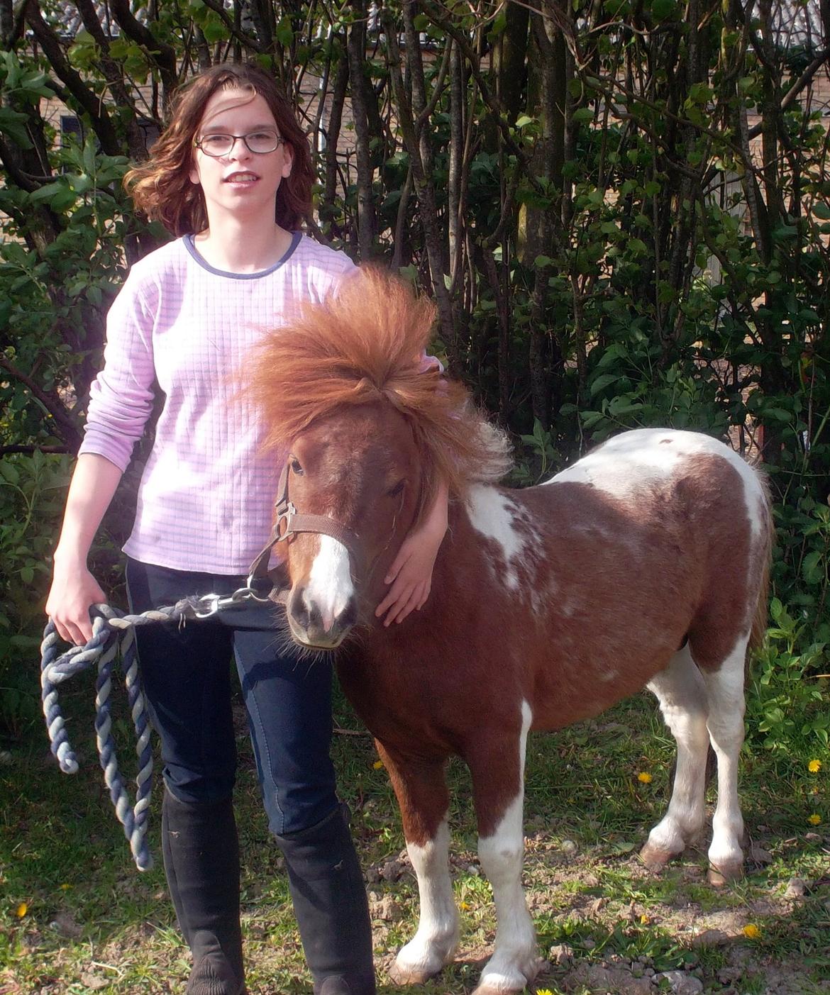 Anden særlig race Vladimir billede 4