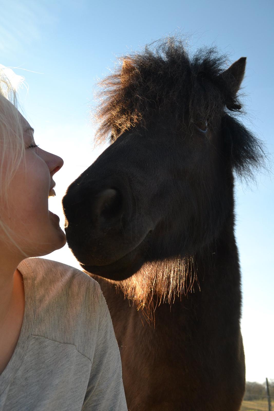 Anden særlig race Manse billede 20