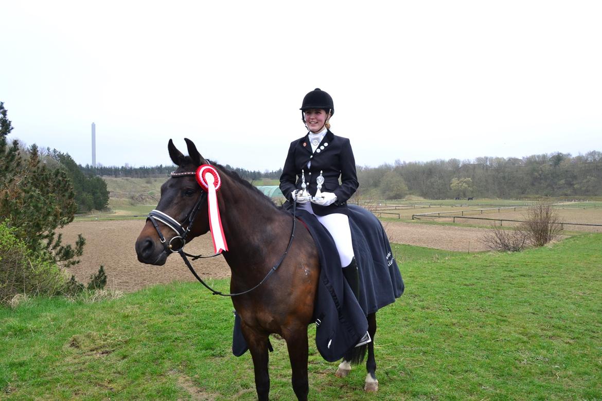 New Forest Meldgaardens Sir Duncan - B-pony - Simone og Duncan blev klubmestre i LA3 og LA4 2013 billede 16