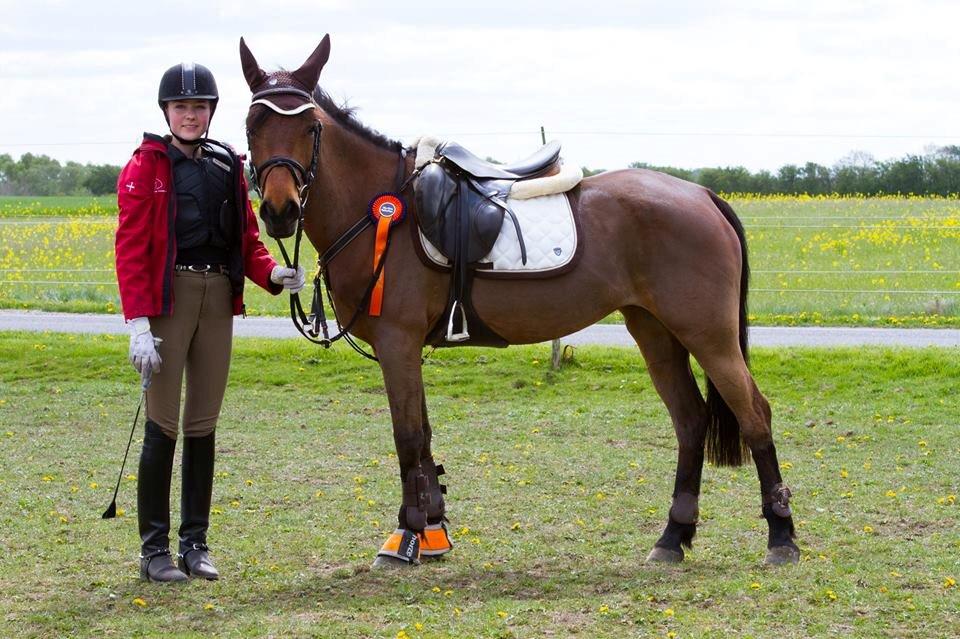 Anden særlig race Beauty billede 10