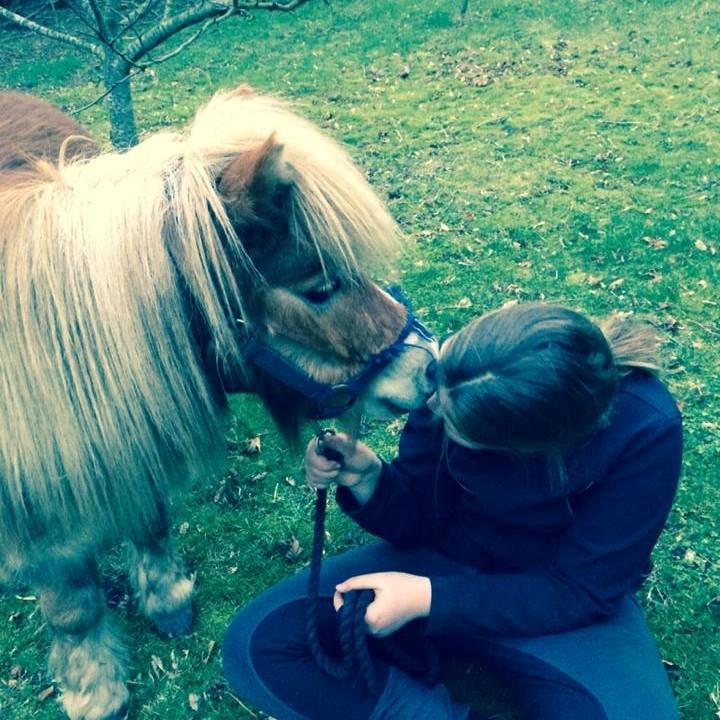 Miniature Siljan <3 billede 13