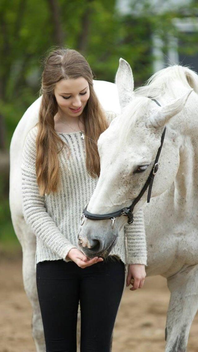 Dansk Varmblod Regazza billede 12