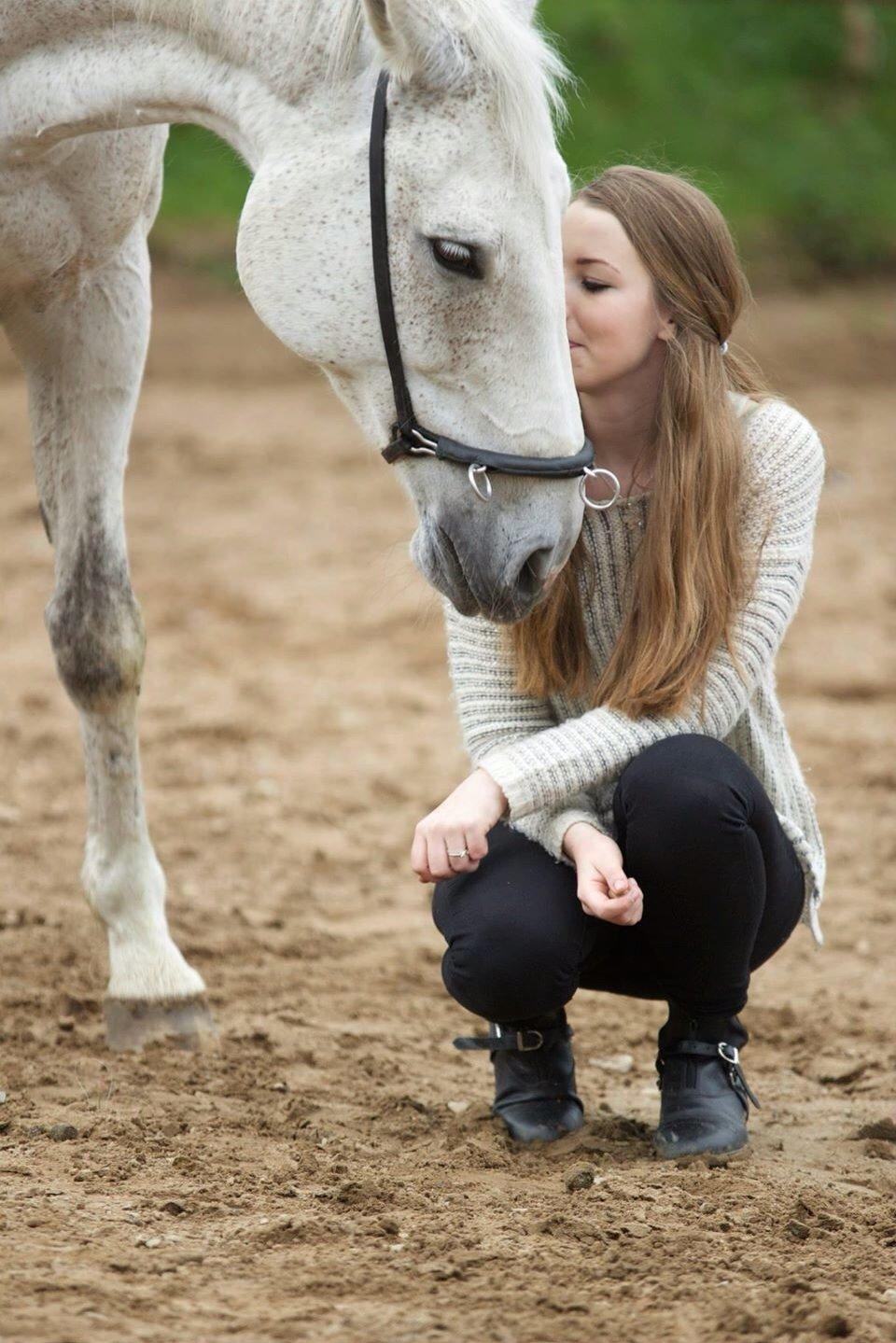 Dansk Varmblod Regazza billede 15