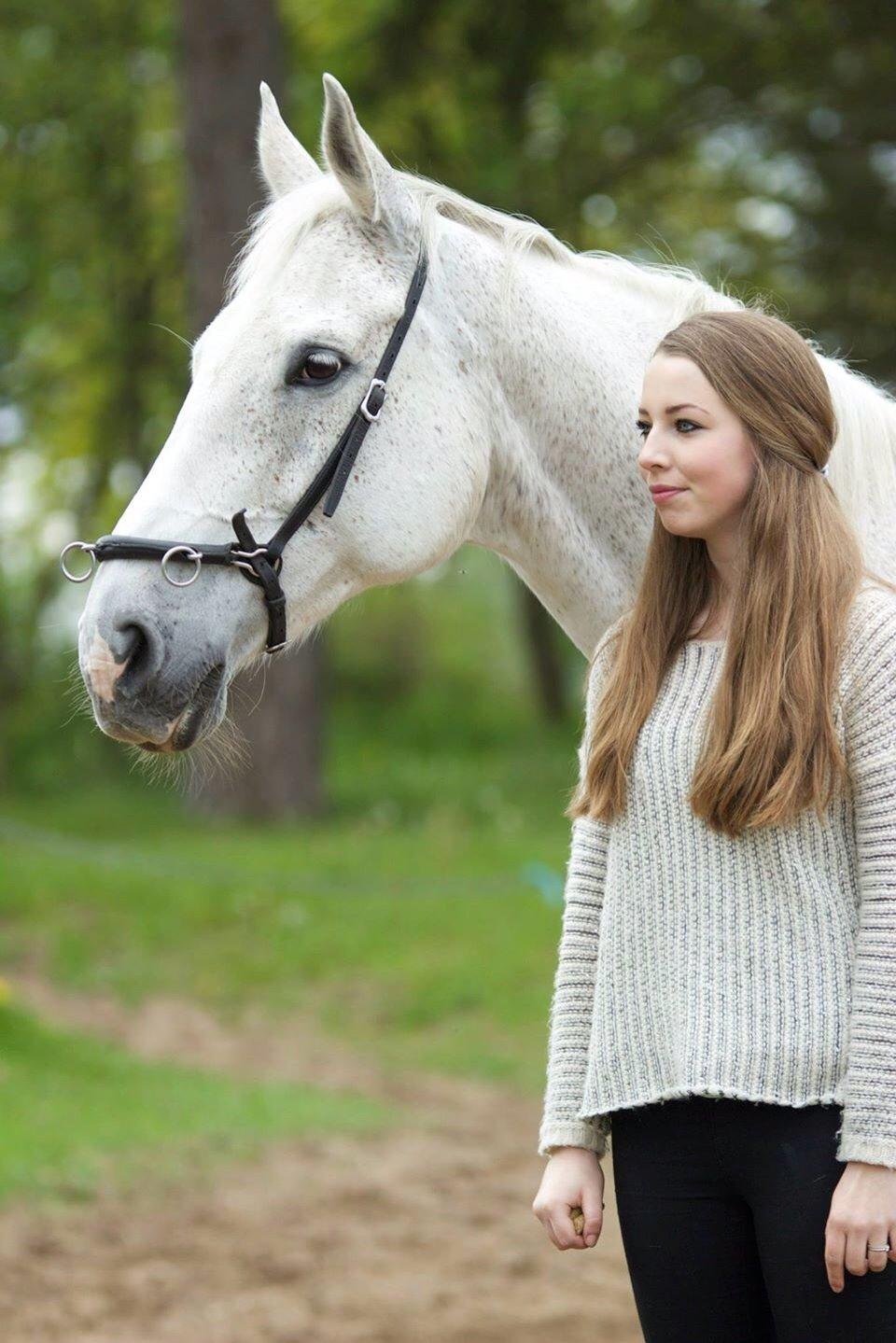 Dansk Varmblod Regazza billede 16