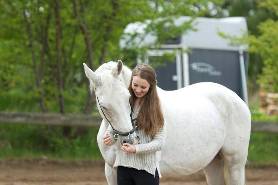 Dansk Varmblod Regazza billede 18