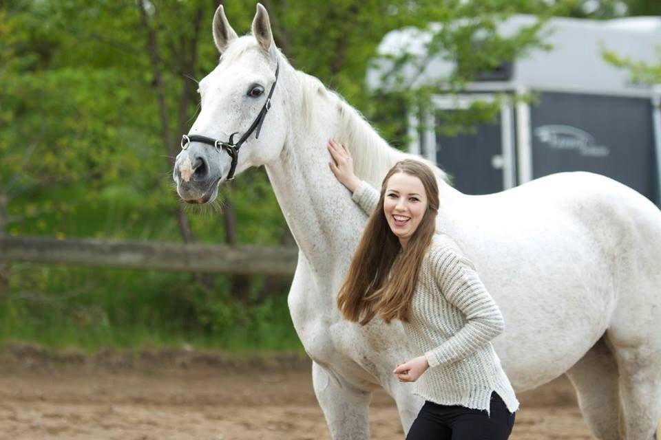 Dansk Varmblod Regazza billede 19