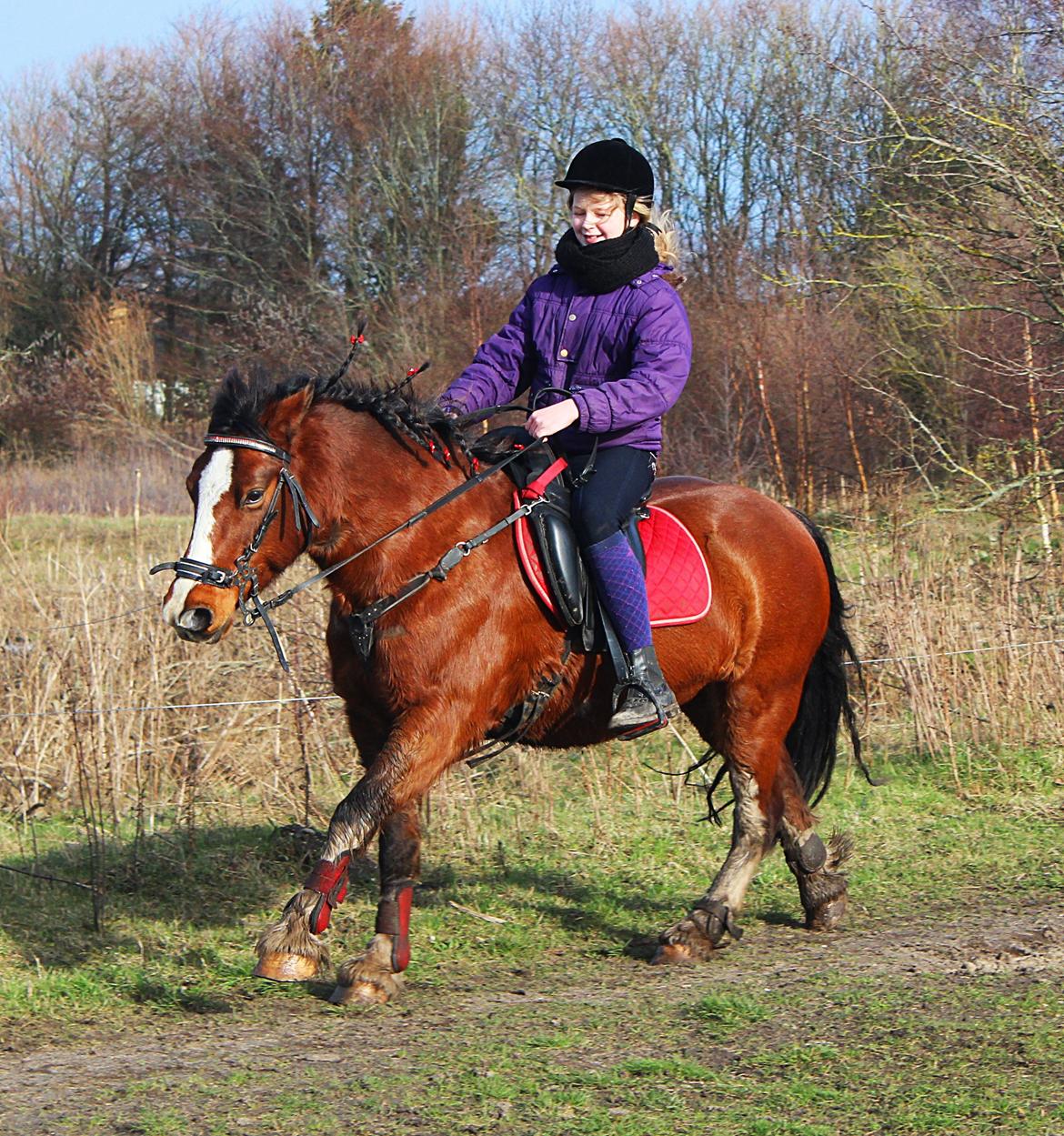 Anden særlig race Hesdalskærs Victoria <3 billede 14