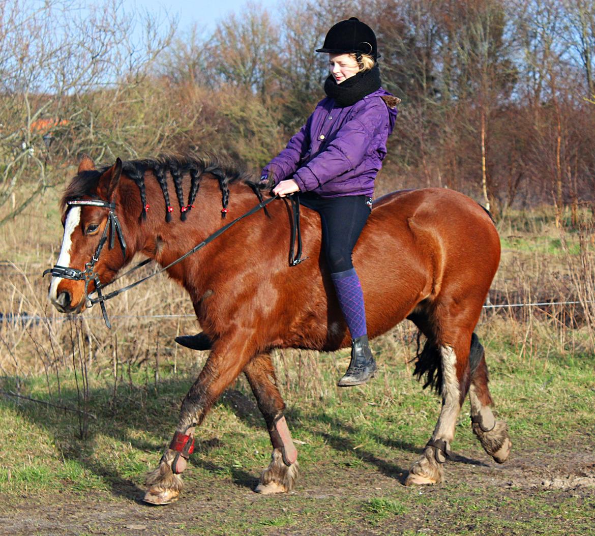 Anden særlig race Hesdalskærs Victoria <3 billede 15