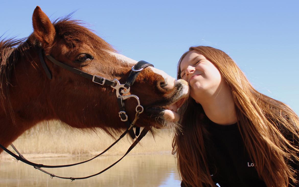 Anden særlig race Ponyen Pixie - Der findes intet bedre, end et kys fra verdens bedste Pony <3 billede 2