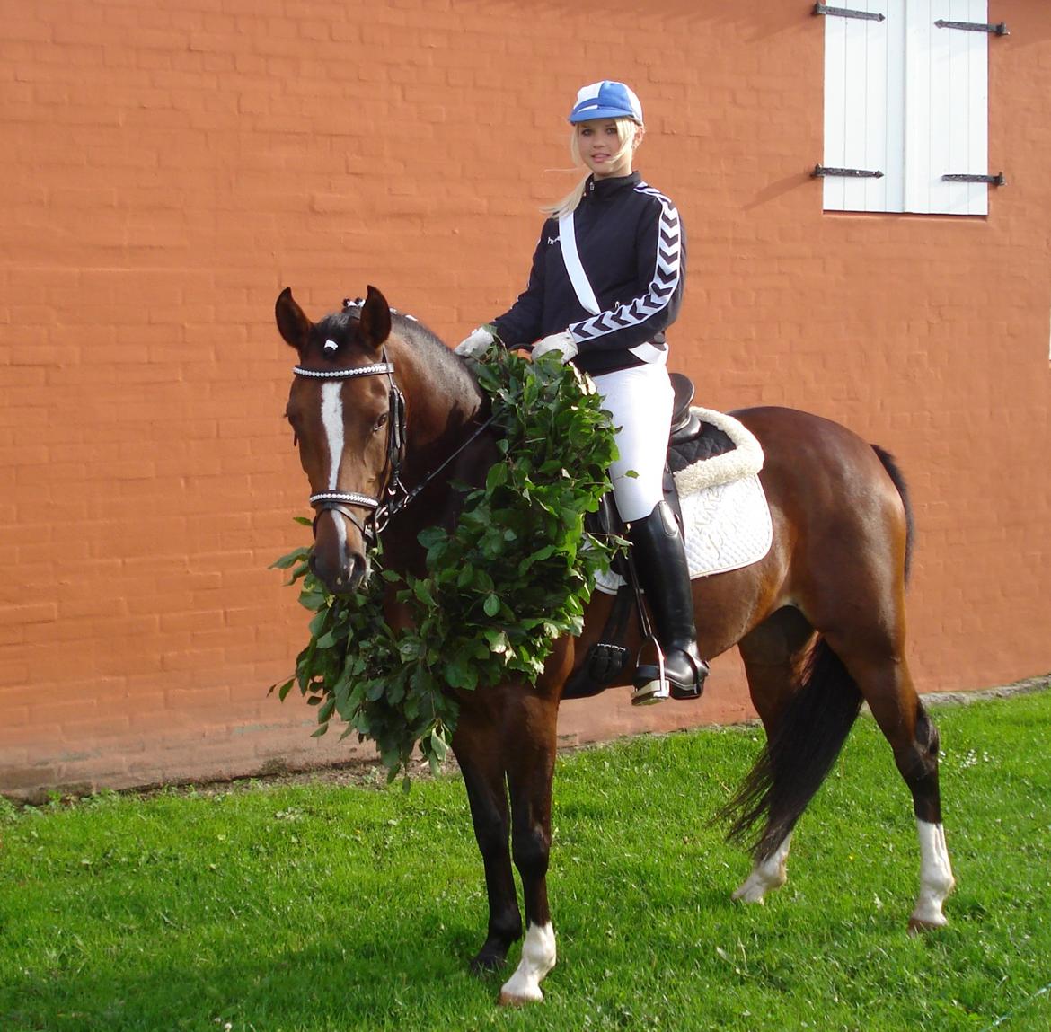 Welsh Partbred (Sec F) Miss Daisy (SOLGT) billede 11