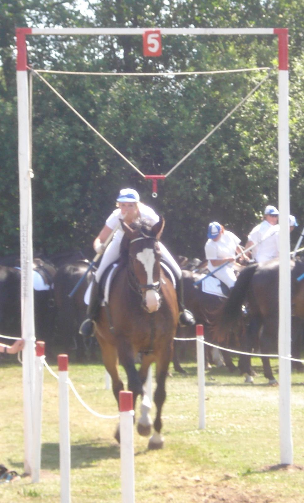 Oldenborg Lucas (SOLGT) billede 12