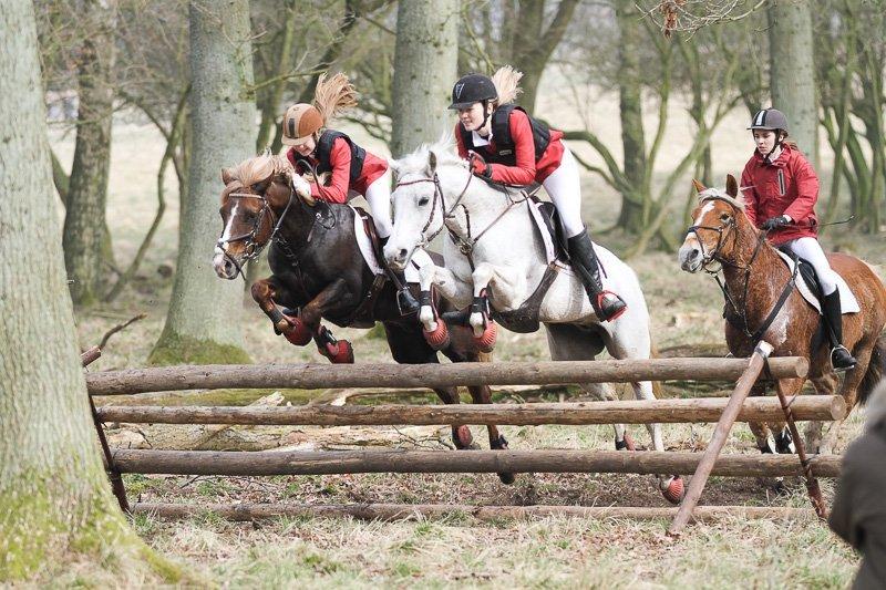 DSP Præstemarkens Mahogni |Honey| - Mig og min makker i smuk flyvende stil over et spring :)  billede 7