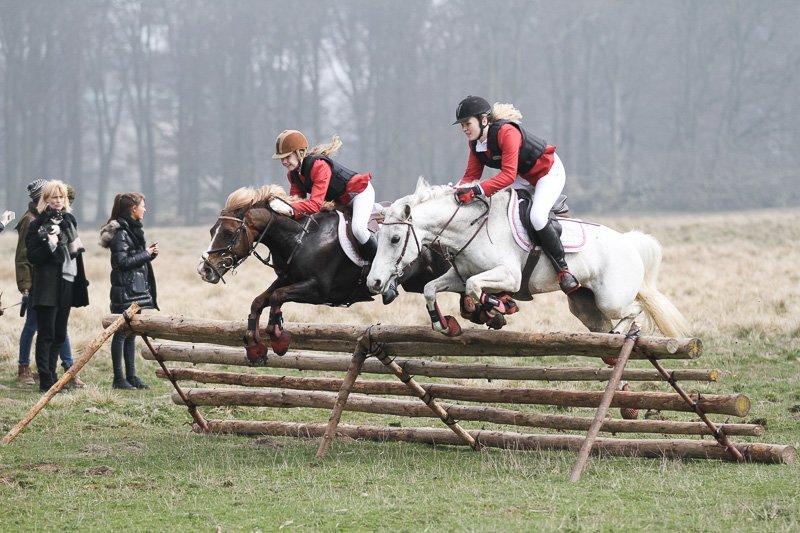 DSP Præstemarkens Mahogni |Honey| - Begynderjagt 2014 billede 40