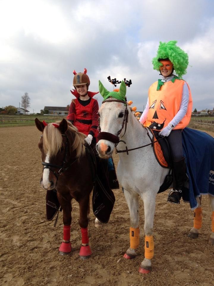 DSP Præstemarkens Mahogni |Honey| - Halloween 2013, det skal lige siges jeg vandt bedst udklædning, og at min pony var orange i hovedet 2 månder efter :P billede 39