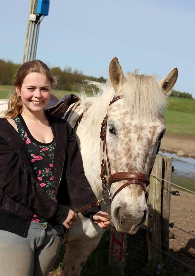 Knabstrupper Bailey - Bailey og jeg på vores 3 års dag 1/5-2014 billede 18