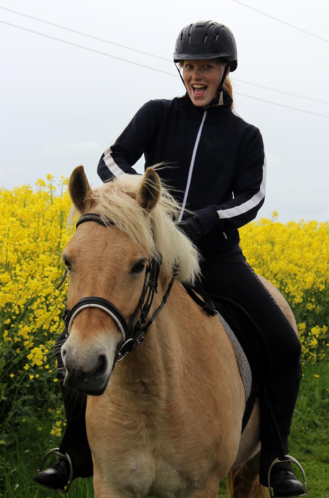 Fjordhest Stella - Sidste tur med Cecilie og Bailey <3 billede 16