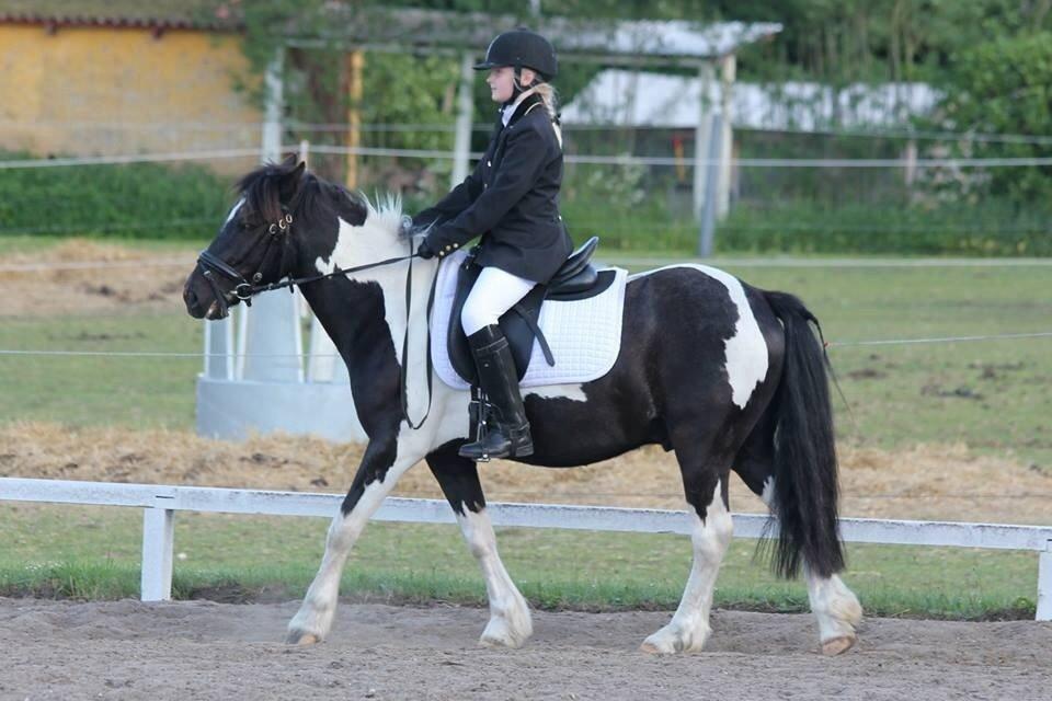 Anden særlig race Magnus <3 billede 10