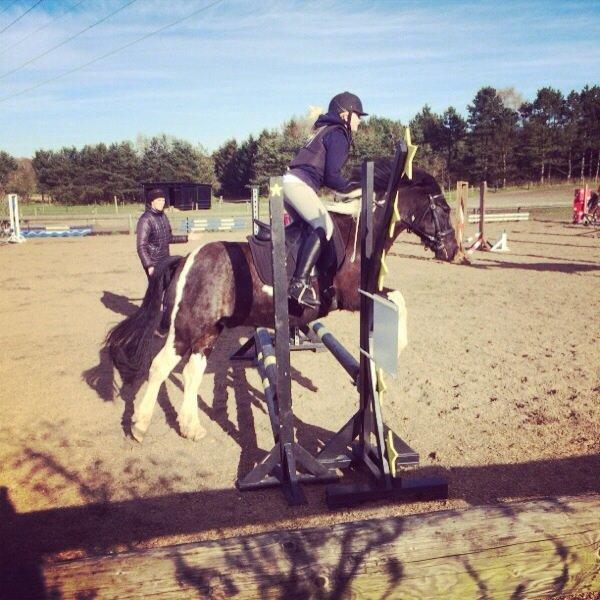 Anden særlig race Magnus <3 billede 11