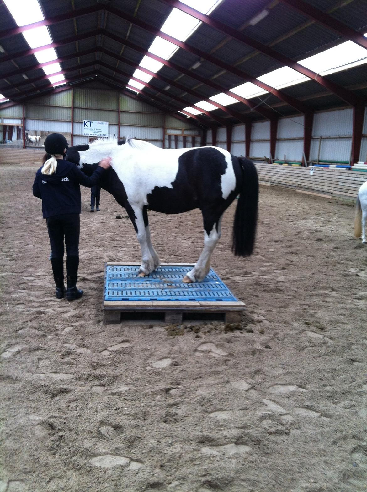 Anden særlig race Magnus <3 billede 14