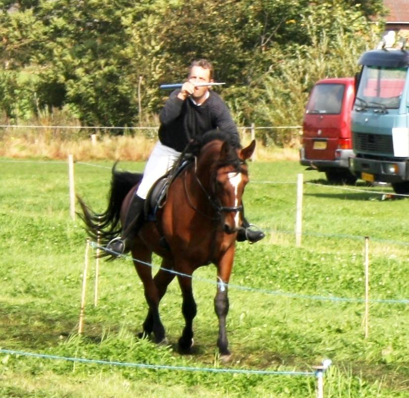 Anden særlig race Chanel billede 5