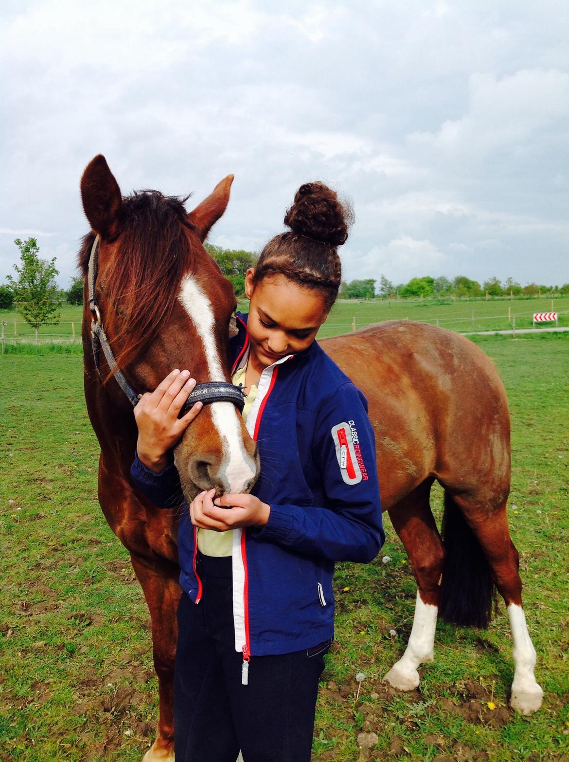 DSP Firhøjs Papillon billede 28